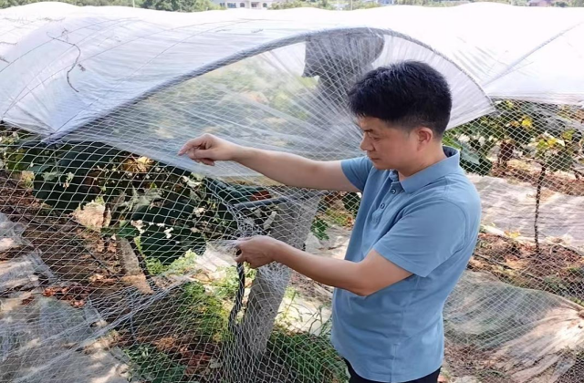 守护生物多样性，攸县开展护鸟专项行动