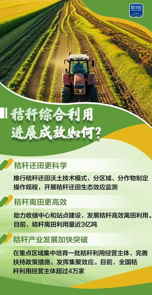 变饲料、转能源、种菌菇......秸秆原来这么"能"！