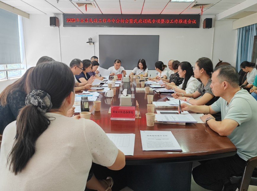 芦淞区召开2025年全区民政工作年中分析会暨民政领域专项整治工作推进会议