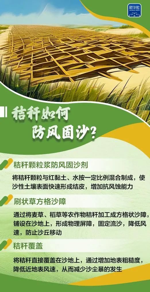变饲料、转能源、种菌菇......秸秆原来这么"能"！