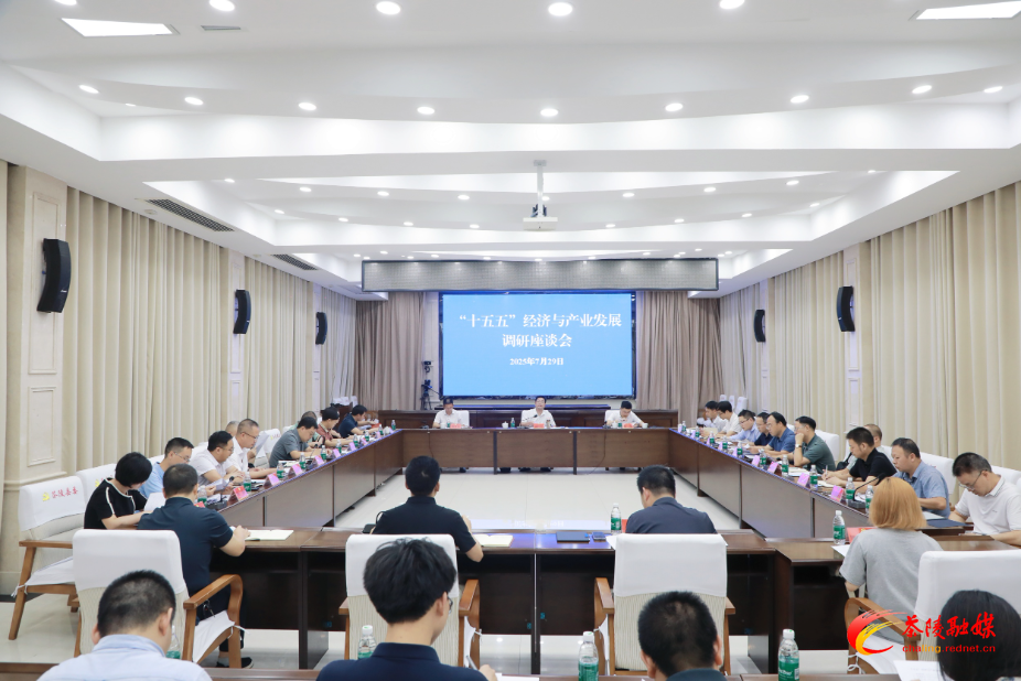 杨红兵主持召开“十五五”经济与产业发展调研座谈会