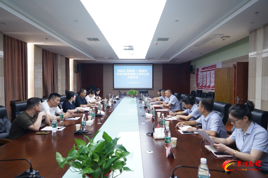 荷塘区数据局来茶陵县学习交流“一网通办”系统和政务直播工作
