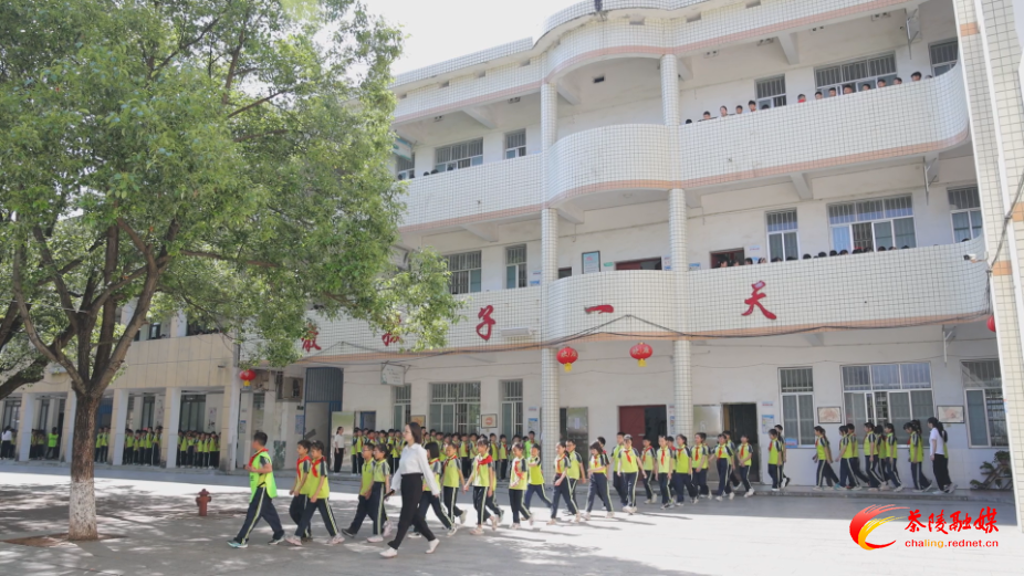 茶陵县2025年义务教育学校招生方案发布 7月1日开启网上报名