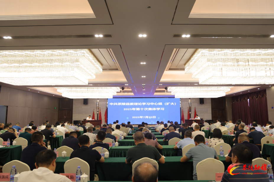 杨红兵主持召开中共茶陵县委理论学习中心组（扩大）2025年第十次集体学习会