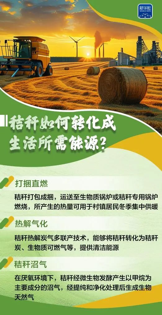 变饲料、转能源、种菌菇......秸秆原来这么"能"！