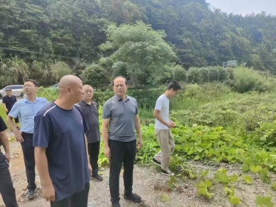 颜文明赴醴陵市沩山村调研乡村振兴工作 慰问驻村干部