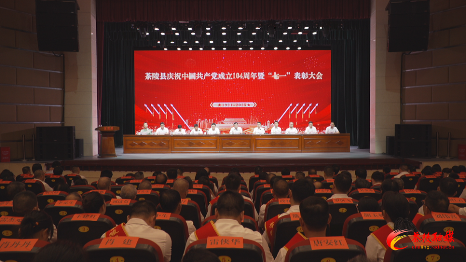 茶陵县庆祝中国共产党成立104周年暨“七一”表彰大会举行