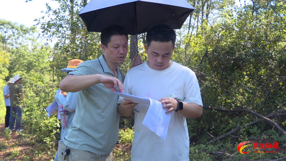 县征地服务中心：优化坟墓清点方法 保障政策资金安全