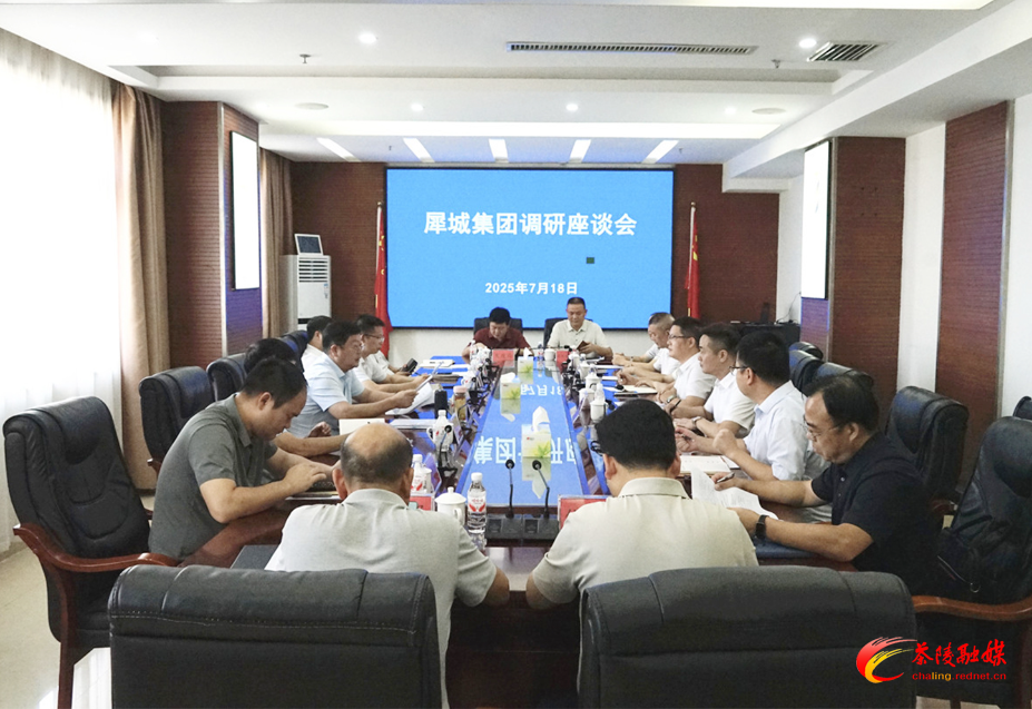 杨红兵调研犀城集团发展情况 强调：深化改革创新 彰显集团担当