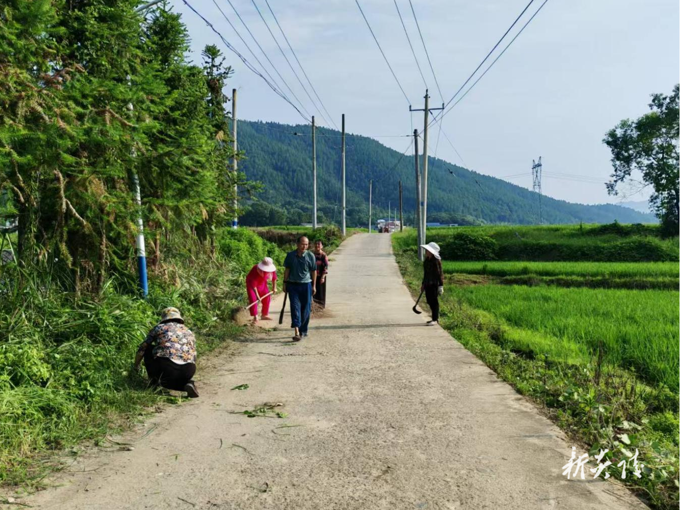 鹿原镇：道路卫生大清洁 村容村貌焕新颜