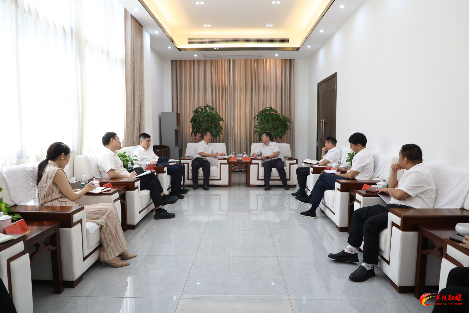 中国联通湖南分公司负责人周智一行来茶考察座谈