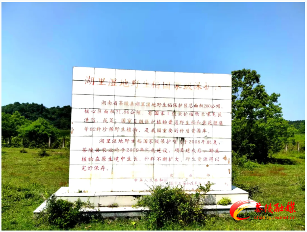 茶陵：检察听证凝聚合力，开启湖里湿地保护新征程