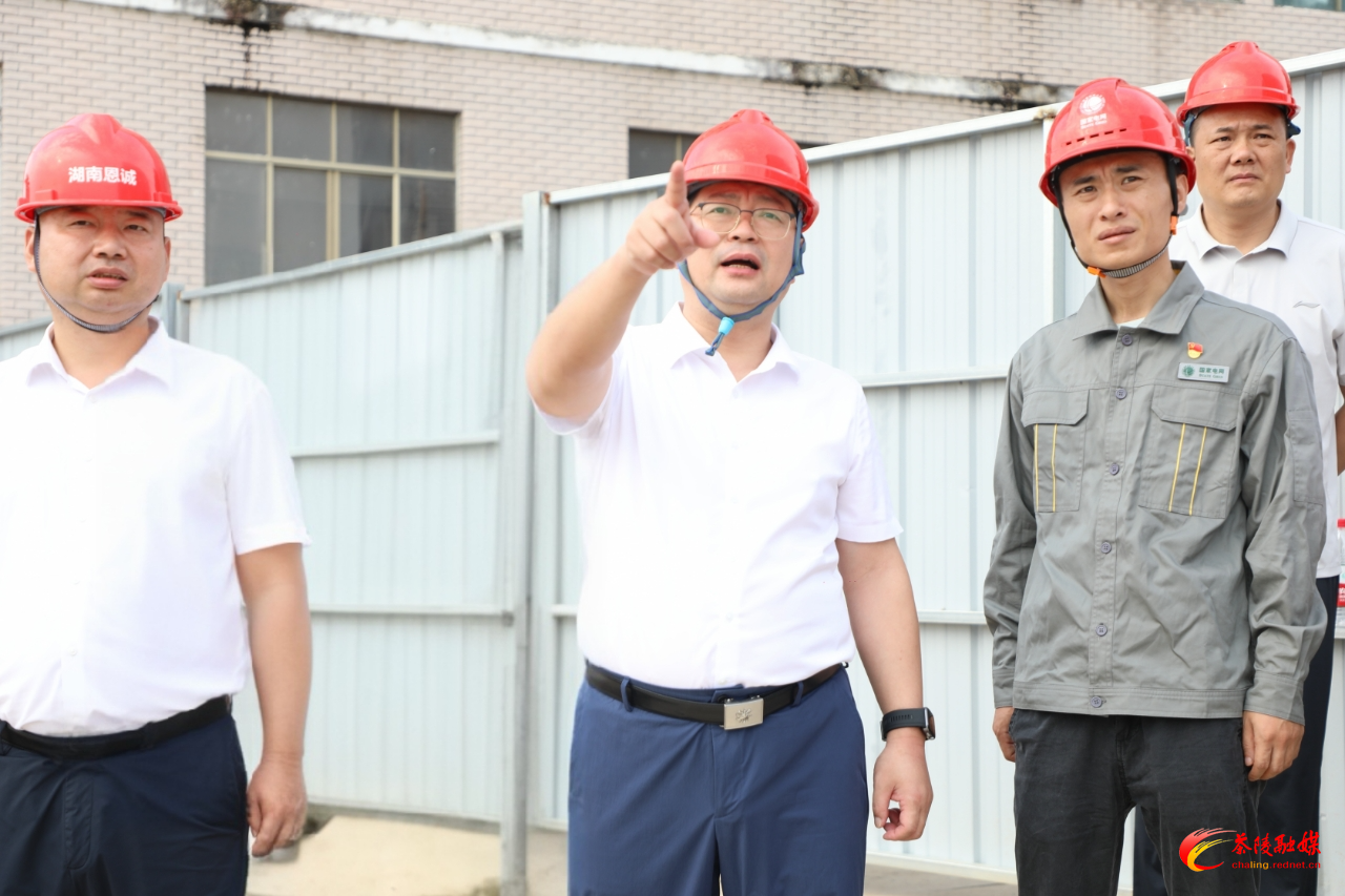 杨红兵调度县级重点民生实事工作