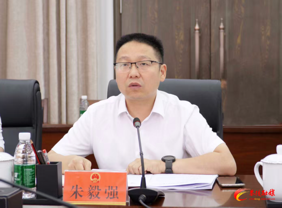 茶陵县上半年经济运行分析及三季度和7月份经济运行监测会召开