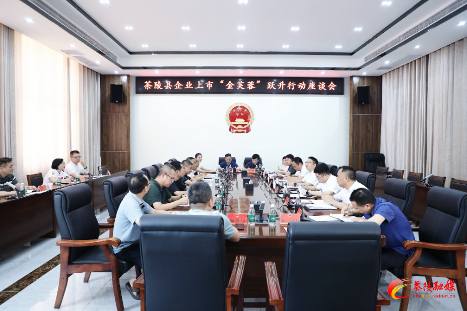 茶陵县召开企业上市“金芙蓉”跃升行动座谈会