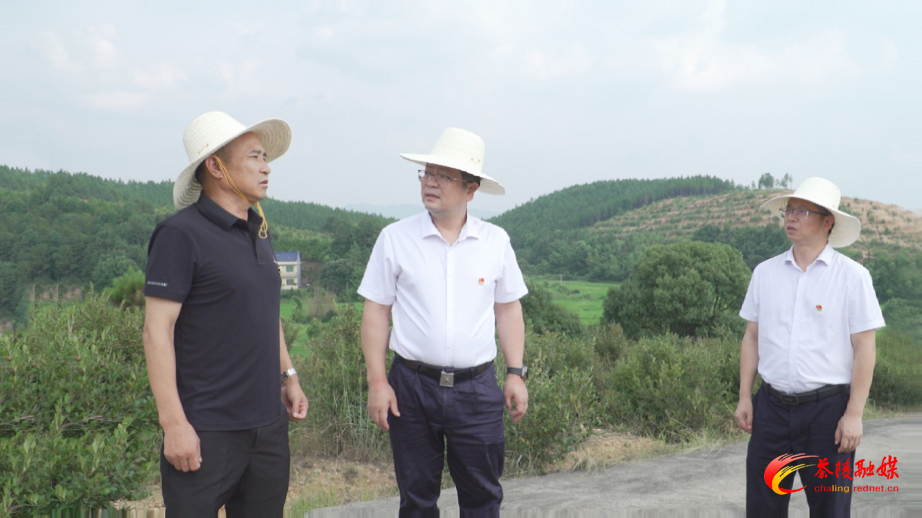 杨红兵赴严塘镇讲党课并调研乡村振兴工作