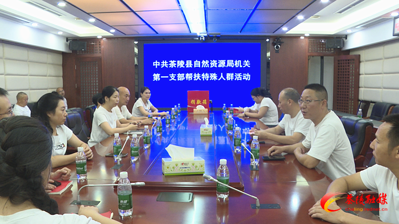 茶陵县自然资源局机关第一支部开展特殊人群帮扶活动