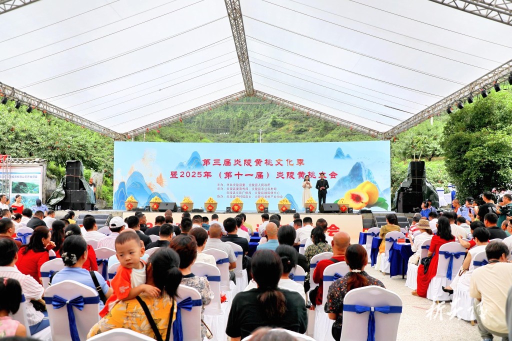 第三届炎陵黄桃文化季暨2025年(第十一届)炎陵黄桃大会在中村瑶族乡举行