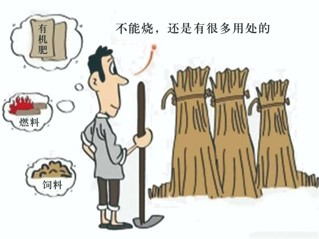 加强秸秆禁限烧管控，筑牢蓝天防火墙！