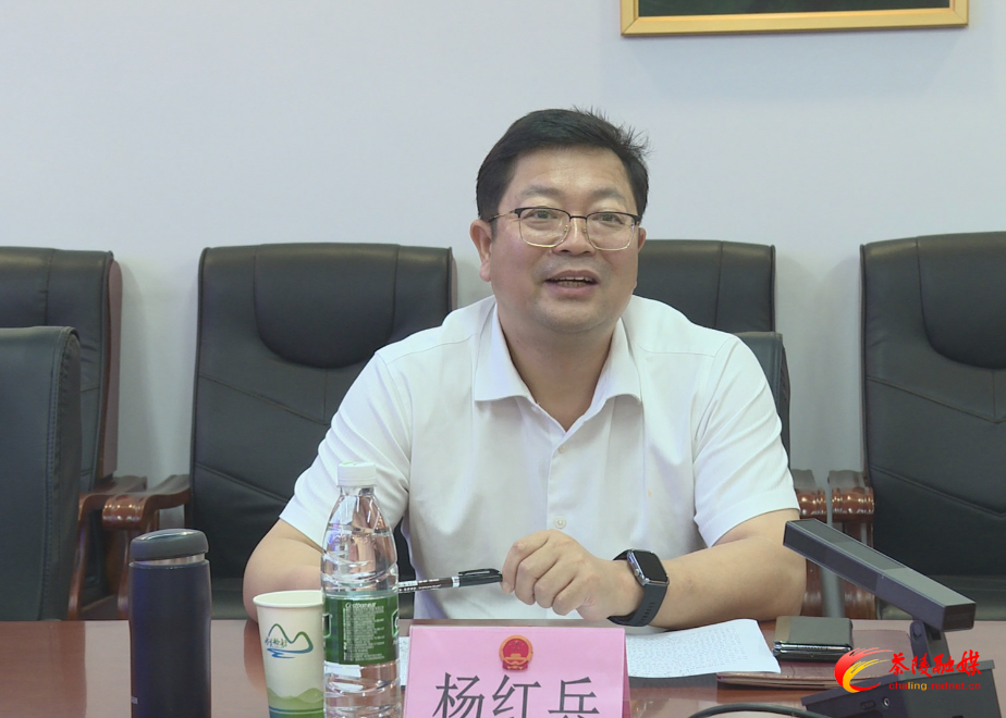 株洲市人大茶陵代表团第二小组视察调研S205茶陵县城至舲舫公路建设情况