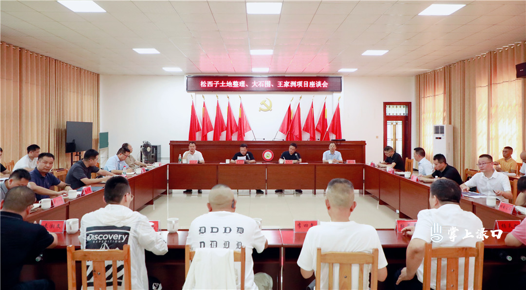 李晓彤到渌口镇调研土地整理和项目建设工作