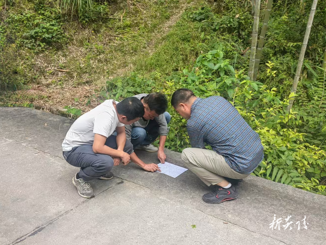 策源乡梨树洲村东岭组新修林区道路完工投用