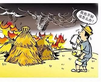 秸秆禁烧！这些知识要牢记~