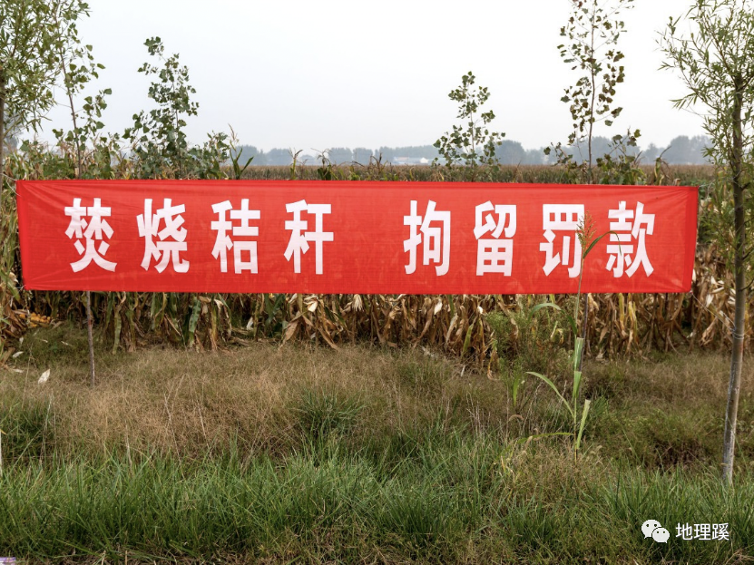 你老师没讲的秸秆"焚烧"和"还田"