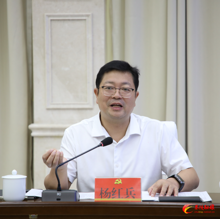 老领导齐聚献策 共绘茶陵“十五五”发展新篇