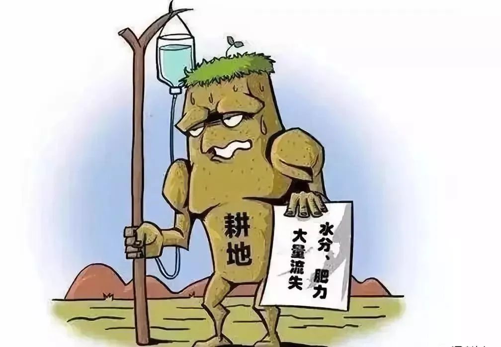 一把秸秆，一份责任，禁烧行动，人人有责！
