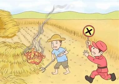 秸秆禁烧！这些知识要牢记~