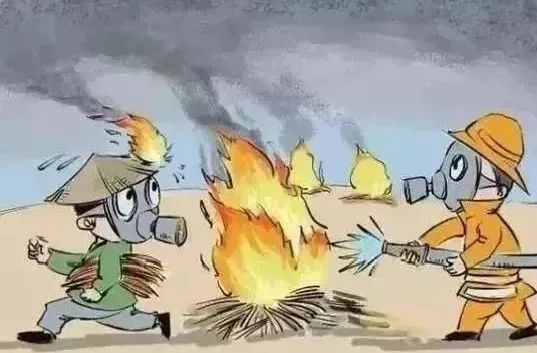 一把秸秆，一份责任，禁烧行动，人人有责！