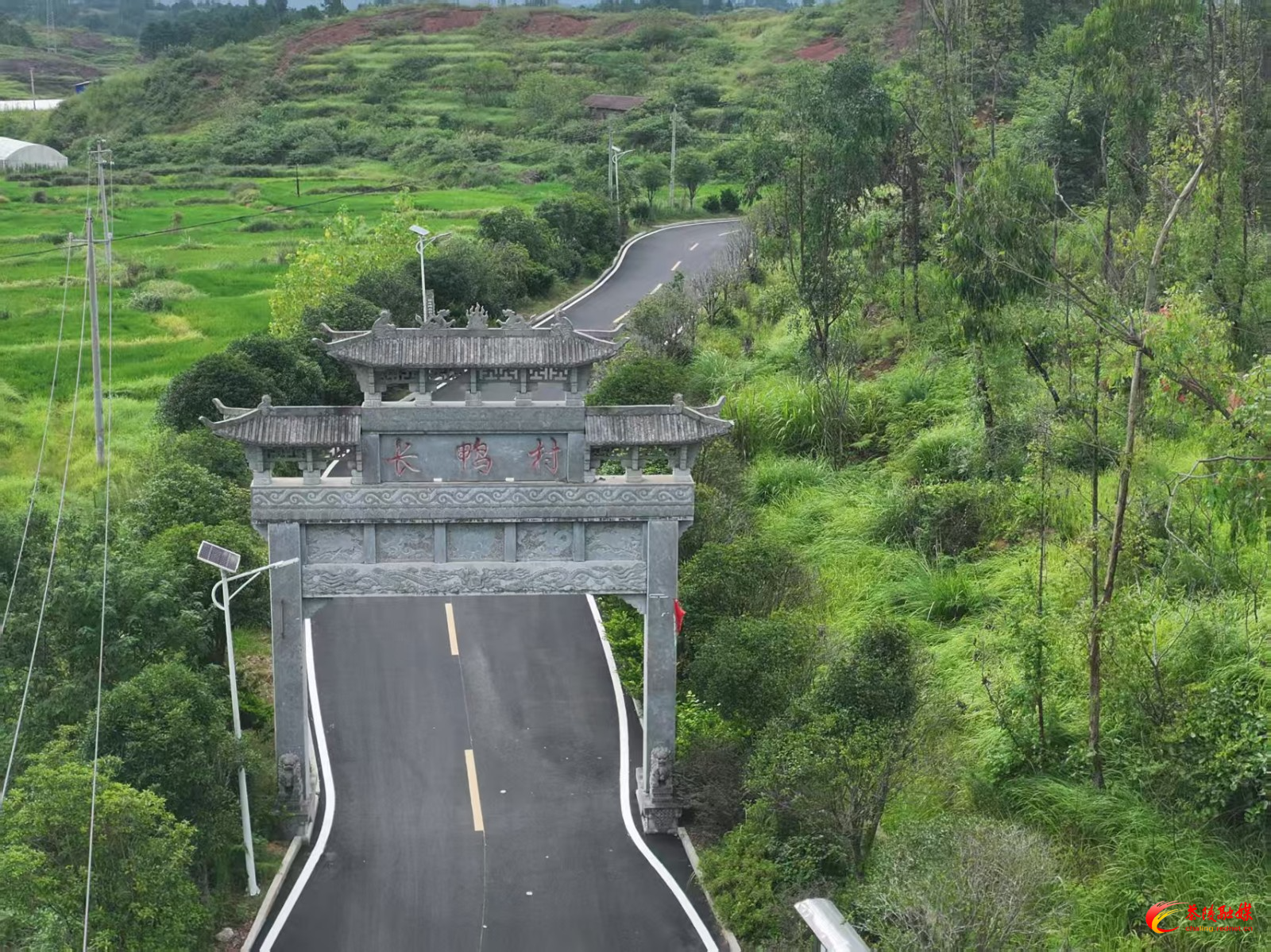 长鸭村产业路焕新颜，铺就乡村振兴幸福路