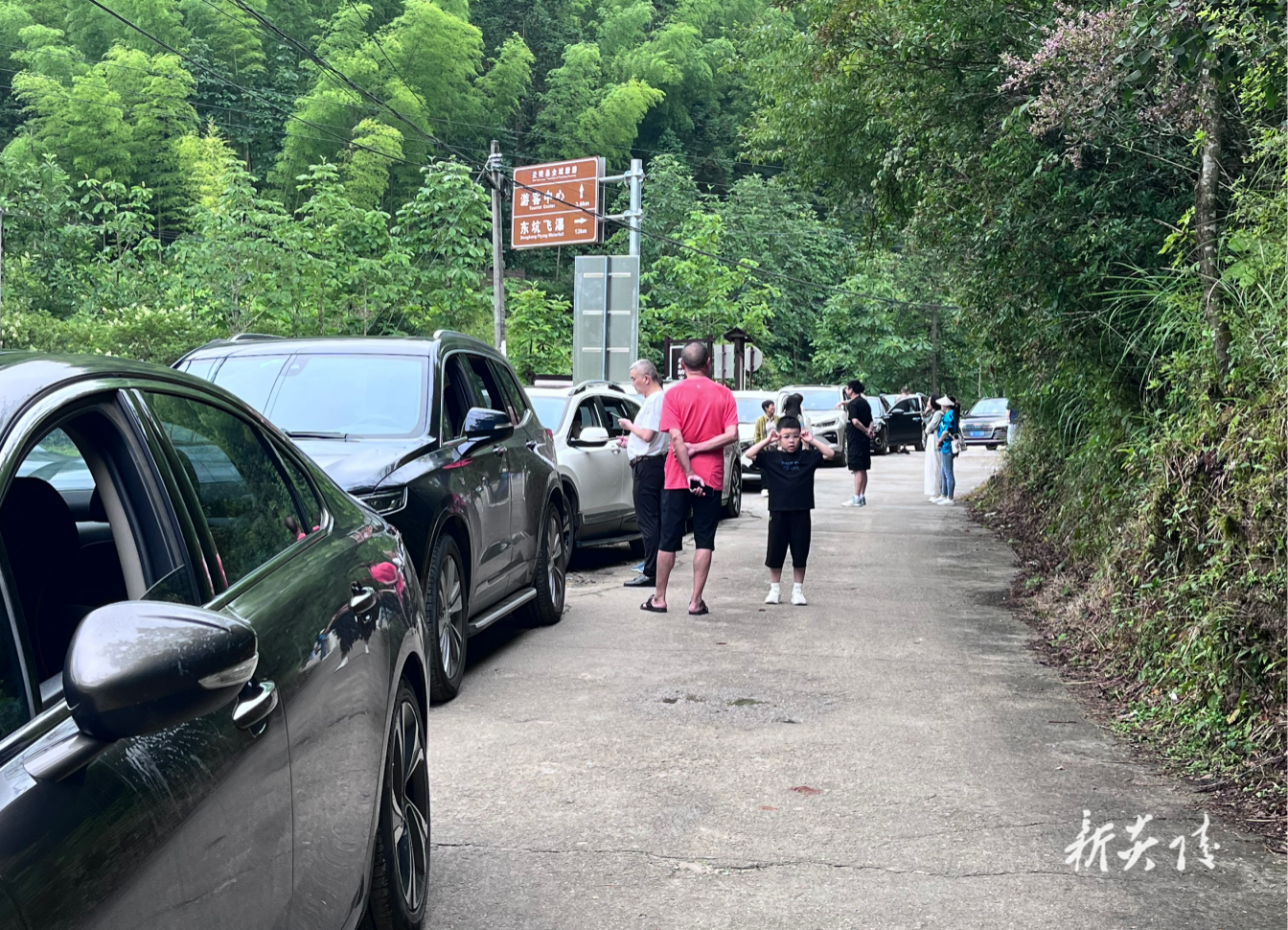 大院农（林）场：避暑旅游迎高峰 交通疏导保畅通