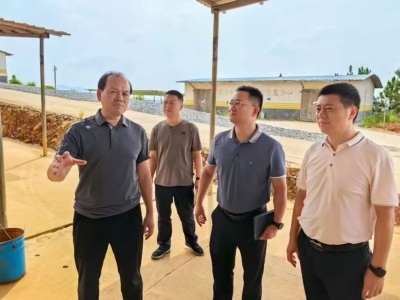 颜文明带队调研烟花爆竹安全生产大排查大整治工作