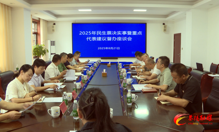 茶陵县人大开展2025年民生票决实事暨重点代表建议督办活动