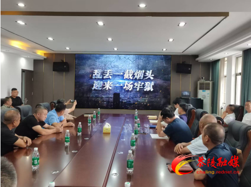 茶陵县召开2025年林业系统安全生产暨森林防火工作会议