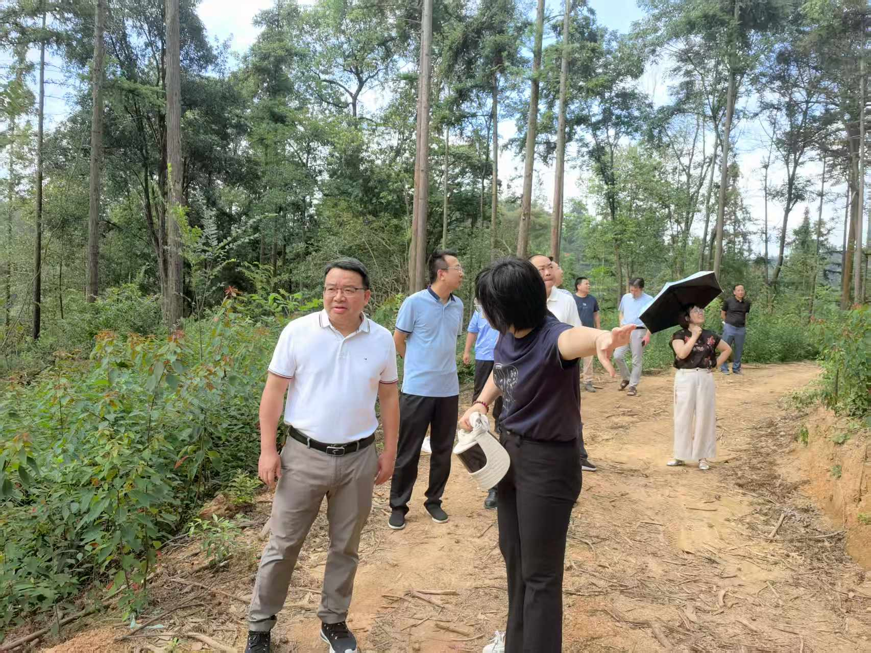 市林业局党组书记、局长周述勇赴芦淞区、天元区调研林业重点工作