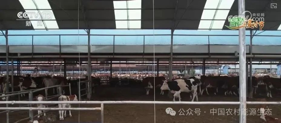 90秒解锁秸秆"点草成金，变废为宝" 科普"三夏"新知