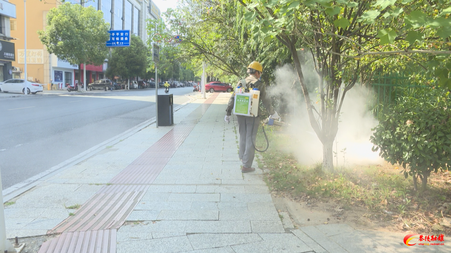 茶陵县开展集中灭蚊消杀 多举措筑牢防蚊屏障