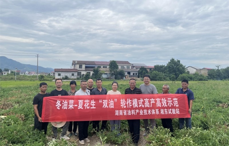 醴陵：夏花生喜获丰收
