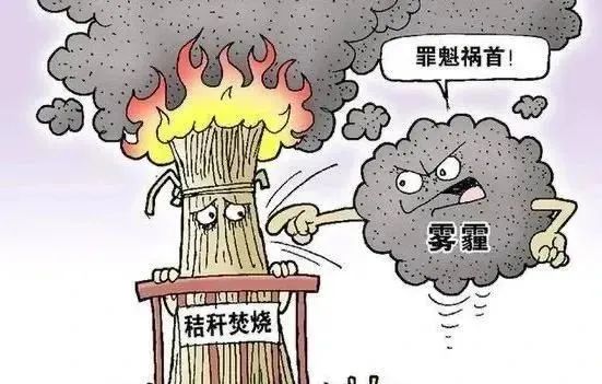 秸秆禁烧，这些你要知道