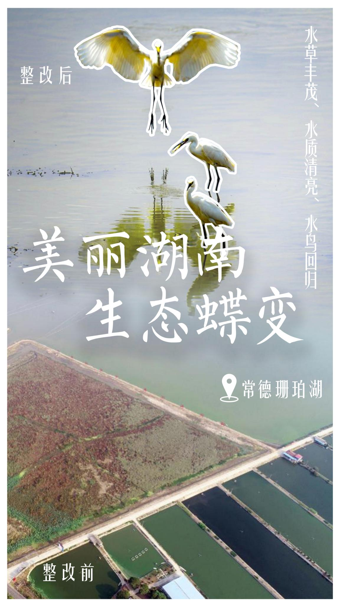 惊叹！被这组图美到的举个手