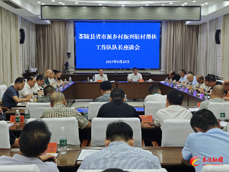 茶陵县省市派乡村振兴驻村帮扶工作队队长座谈会召开