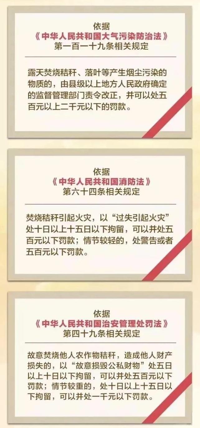"秸"尽全力，筑牢禁烧"防火墙"