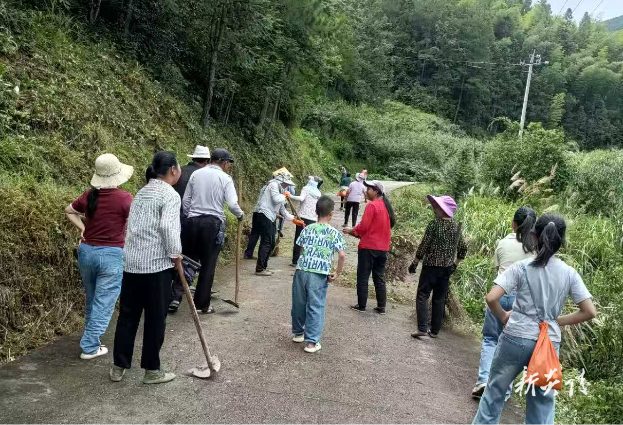 下村乡：村民自发清扫道路 助力炎陵黄桃产销季