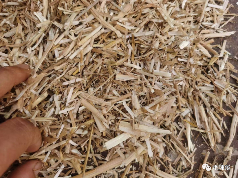 你老师没讲的秸秆"焚烧"和"还田"