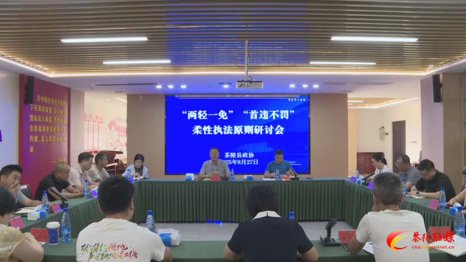 县政协召开“两轻一免”“首违不罚”等柔性执法原则研讨会