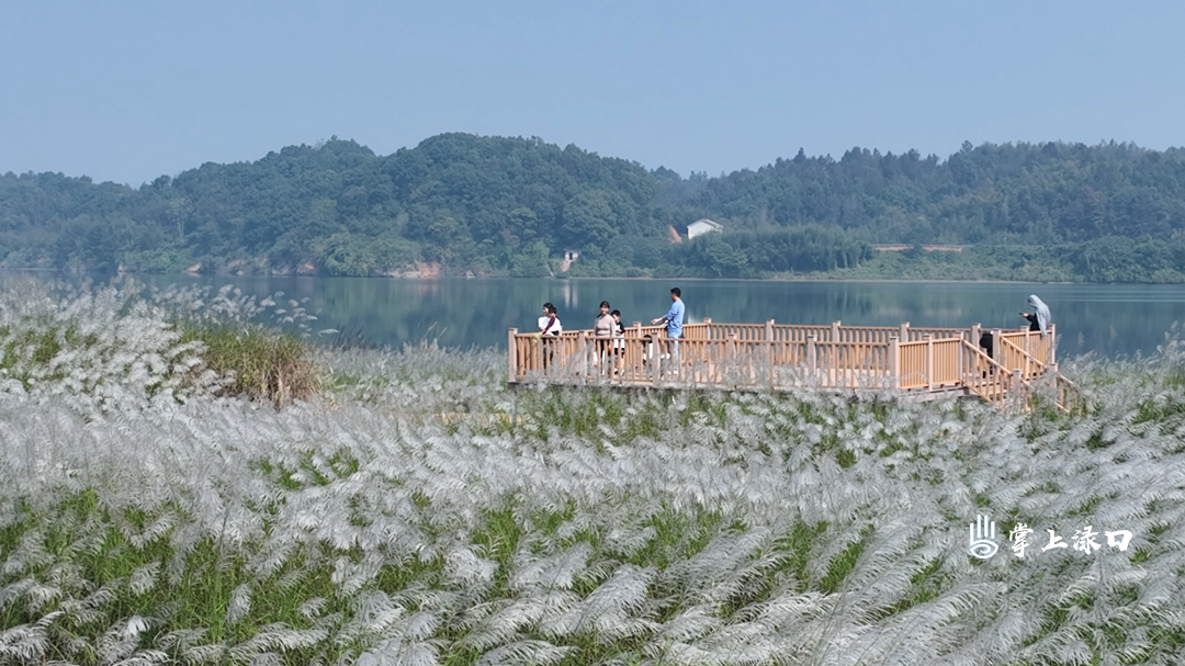 渌口区龙船镇挽洲村入选省级美丽乡村（和美湘村）重点建设村