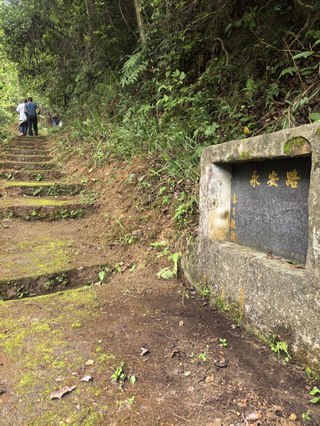 炎陵南岸村：从修路到护路 两代党员的初心接力